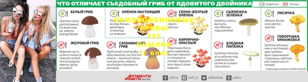 сатива Володарск