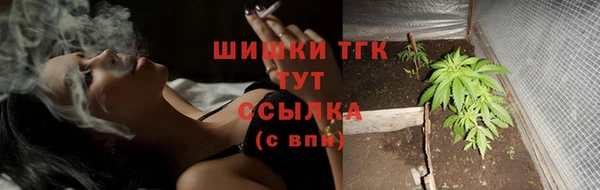 сатива Володарск