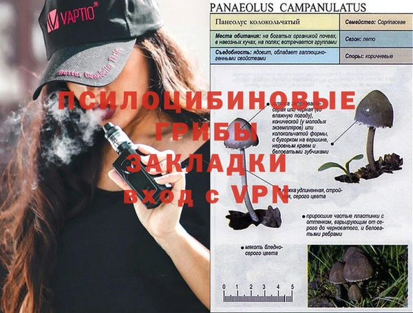 мяу мяу кристалл Волоколамск